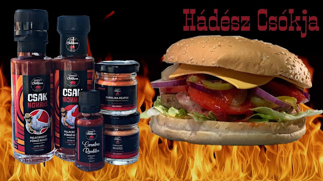 Opinii despre Bádog Puma Büfé és Pecsenyesütő în Berettyóújfalu - Vendéglátás