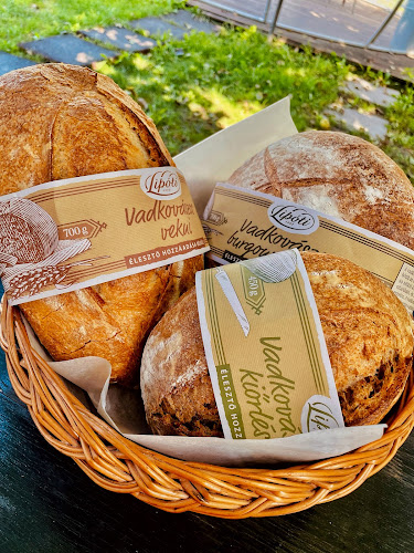 Győrzámoly, Rákóczi út, 9172