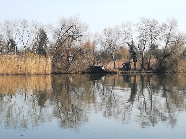 Comentarii opinii despre Garden Cafe