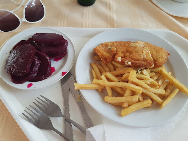 Vándorsólyom kFT - Hódmezővásárhely