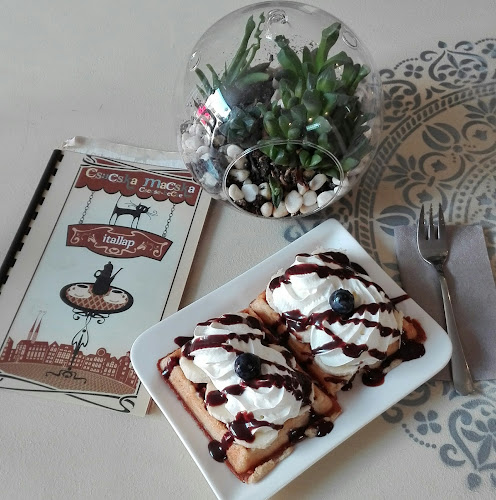 Csacska Macska Csecse-becse