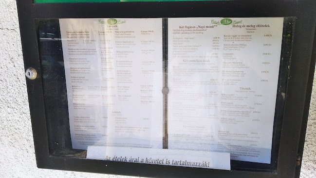 Comentarii opinii despre Ilka Csárda Panzió