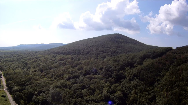 Comentarii opinii despre Palóc Piac