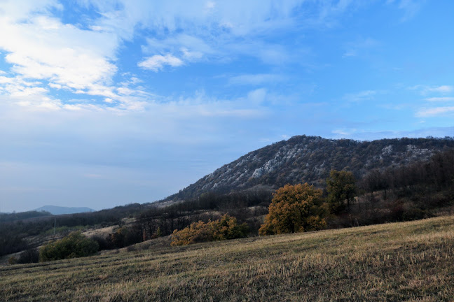 Sport Söröző - Vendéglátás