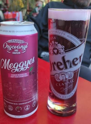 Szőlőskert borozó