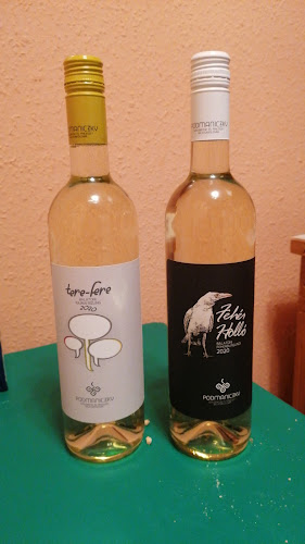 Comentarii opinii despre Podmaniczky Pince és Szőlőbirtok