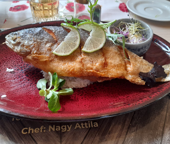 Eger Almár telep 24313/4 hrsz, 3300