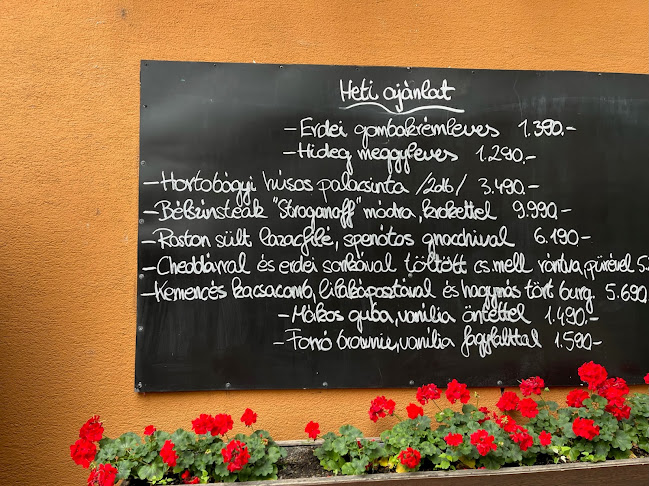 Budakert Vendéglő - Vendéglátás