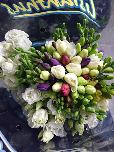 Budapesti Virágpiac - Nagykereskedelem - Vendéglátás