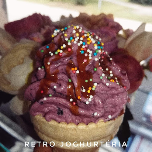 Comentarii opinii despre Retro Joghurtéria