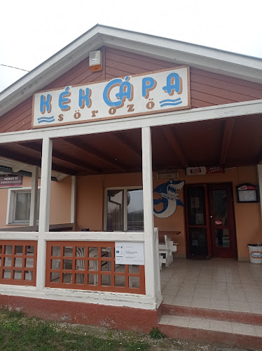 Opinii despre Kék Cápa Söröző în Újudvar - Vendéglátás