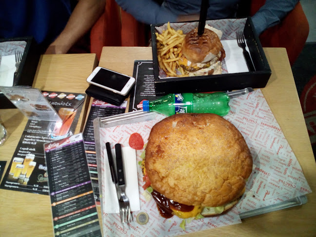 Comentarii opinii despre Westy Király BRGR