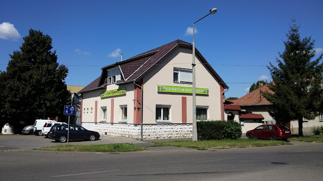 Borostyán Étterem - Vendéglátás