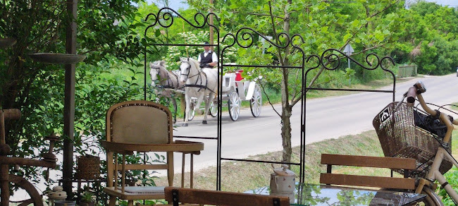 Páty, Torbágyi úti pincesor, 2071