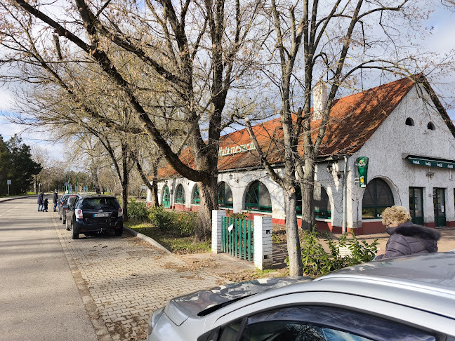 Comentarii opinii despre Dunagyöngye Halászcsárda