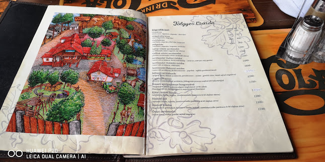 Comentarii opinii despre Tölgyes Csárda