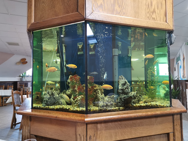 Malomkerék Étterem és Rendezvényház