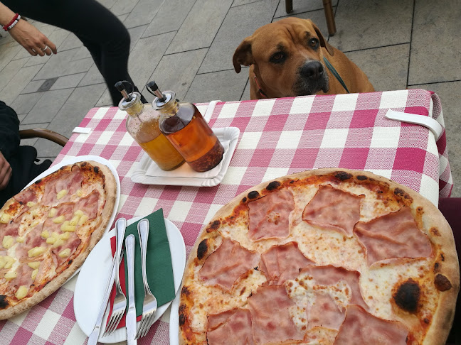 Comentarii opinii despre Pannonhalmi Borterasz és Borbár