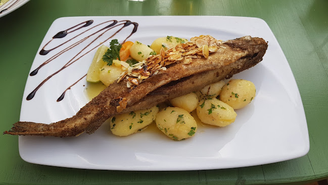 Tópart Bisztró - Vendéglátás