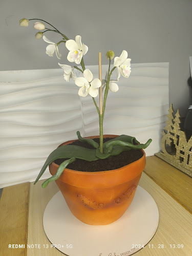 Epercake Design Torta - Debrecen