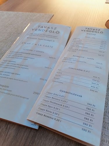 Tavasz Vendéglő - Vendéglátás