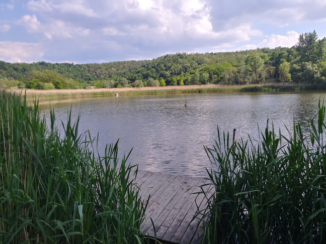 Tinnye, Garancsi-tó, 2086