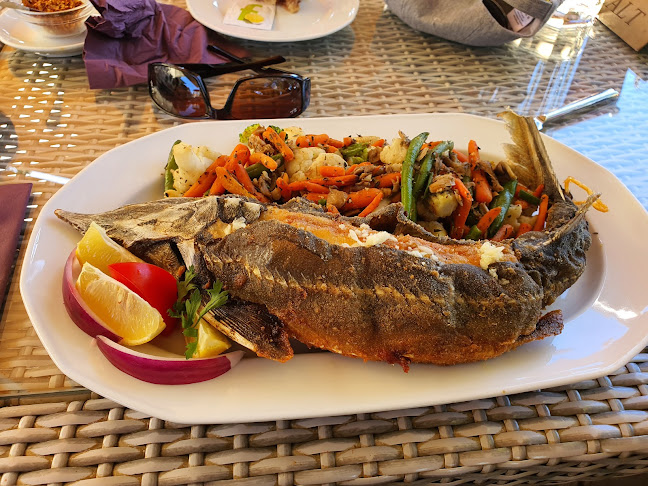 Vizafogó Panzió és Étterem - Vendéglátás