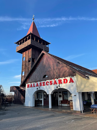 Halascsarda Seghedin - Vendéglátás