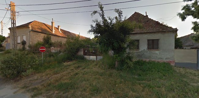 Bemutatkozás – Magyar Mangalica