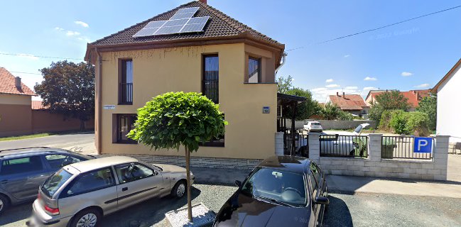 Bingo Pizzafutár (pizza házhozszállítás)