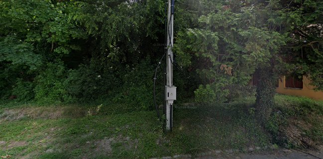 Világosi Étterem Pizzéria