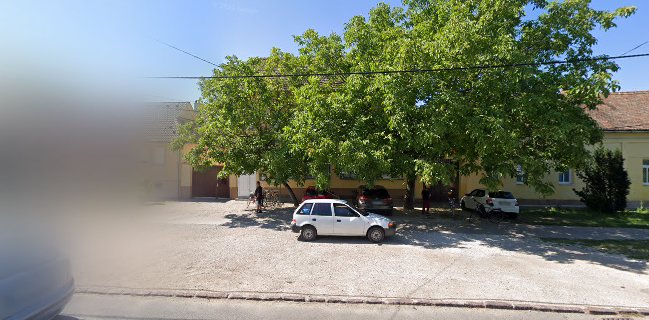 Diófa Vendéglő Kalocsa -Céges Rendezvény szervezés- Étterem Kalocsa- Menüztetés