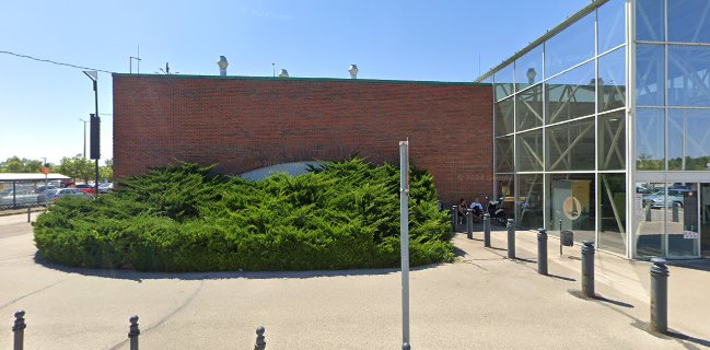 HALPATKÓ - Székesfehérvár