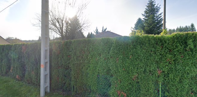 Fenyvesalja cukrászda