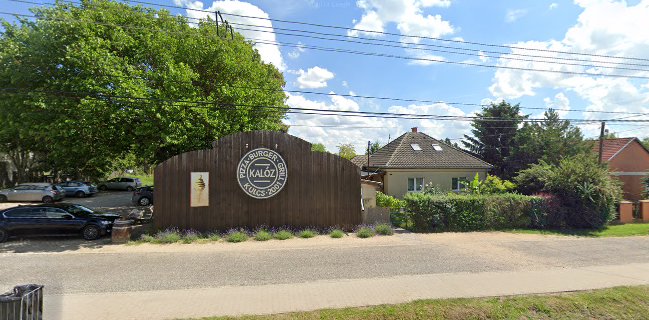 Kalóz Pizza-Grill-Hamburger-Tészta-Gyros