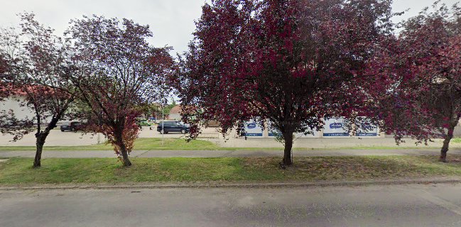 Alexandra Cafe & Bar