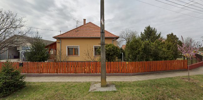 Toth Janos Palackozott Italok