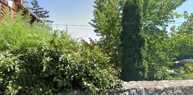 Bagolyvár - Vendéglátás