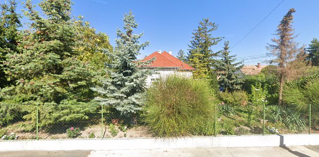 Don Papa Pizza Kiszállítás