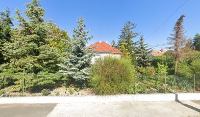 Don Papa Pizza Kiszállítás