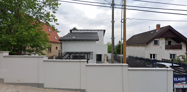 Bajczyné és Társai Kft.