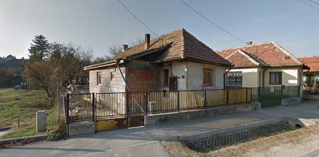 Torbágyi Mézes Gyógynövény és Gyümölcsszörpök