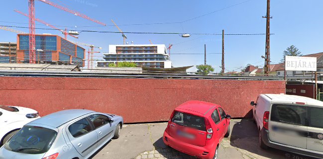 bolgárkertész stand