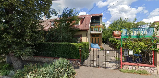 Szőlőskert borozó