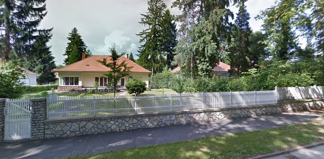 Vasemberház Étterem Kft. F.A.