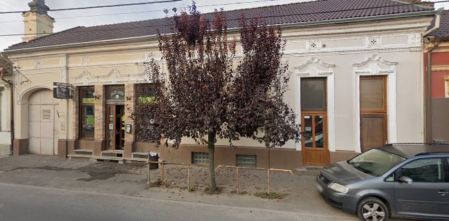 JollyJoker Múzeumkávézó