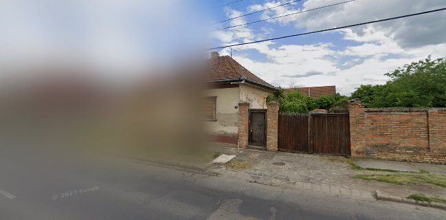 Kisméhecske Donna Rosa