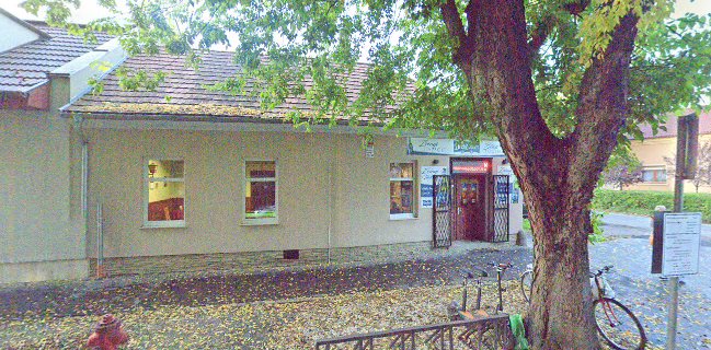 Bözsi Néni kocsmája