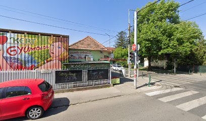 Arany Serleg Borpatika