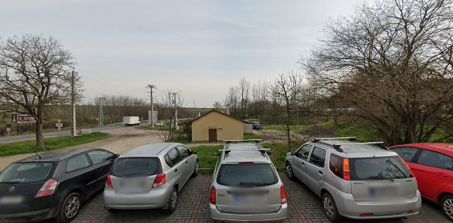 Betérő a kis Lizihez